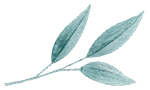 image_leaves_01 https://vishdecor.com/wp-content/uploads/2020/11/image_leaves_01.png